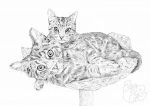 cat, art, kitten, cute, portrait, commission, pencil, drawing, pet