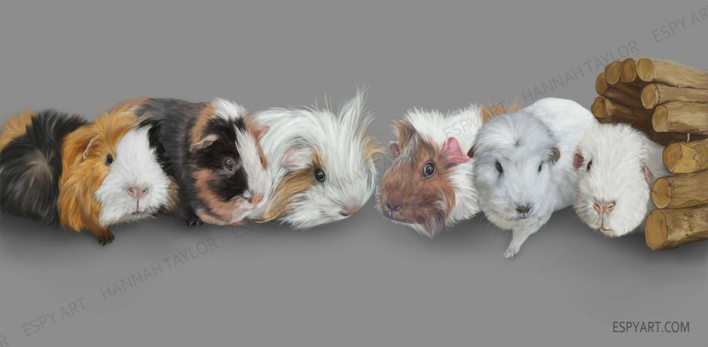 Guinea Pigs